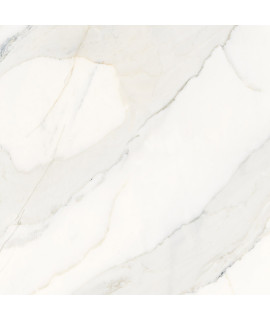 Калакатта олімпус (28)