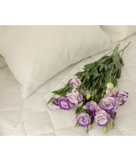 Аркадська ідилія подушка / Dreamota Аркадська ідилія подушка / Dreamota